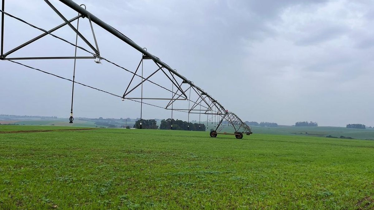 Startup gaúcha estreia na Expointer