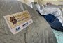 Como o acampamento da criança com diabetes ajuda os pequenos a conviverem com a doença