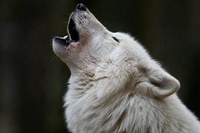 Adobe StockFonte: 15065307<!-- NICAID(16265416) -->