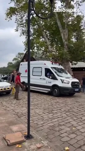 Ataque de abelhas deixa feridos em Ivoti 