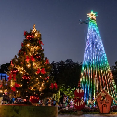 Magia do Natal de Nova Petrópolis <!-- NICAID(15307451) -->