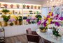 Grife de flores permanentes inaugura em Caxias e oferece decoração em casa