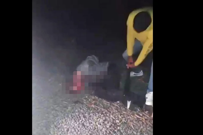 Reprodução / Reprodução Reprodução / Reprodução