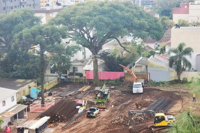 Guapuruvu cortado no bairro Petrópolis, em Porto Alegre, para a construção do condomínio "Verdant", causa comoção entre vizinhos.<!-- NICAID(15788040) -->