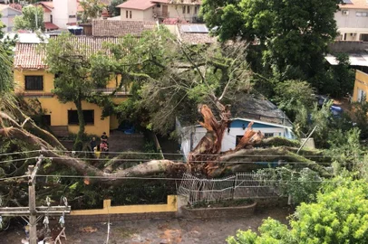 Arvore cai em cima de casas no bairro Nonoai<!-- NICAID(15661286) -->