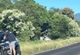 Motorista sofre acidente, sai do carro para pedir socorro e morre atropelada por ônibus no Litoral Norte