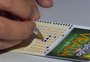 Com 2 mil participantes, bolão de Passo Fundo vai apostar R$ 300 mil na Mega da Virada