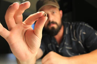 Um pequeno crânio fóssil, com menos de um centímetro de comprimento - tamanho menor do que uma unha -, descoberto por paleontólogos em Novo Cabrais, na Região Central do Rio Grande do Sul, ganhou destaque científico internacional. Em 28 de janeiro, a descoberta dos pesquisadores da Universidade Federal de Santa Maria (UFSM) foi publicada no periódico Scientific Reports. O Sauropia macrorhinus, uma nova espécie de pararéptil, possui a base do crânio com apenas 9,5 milímetros de comprimento. <!-- NICAID(16227881) -->