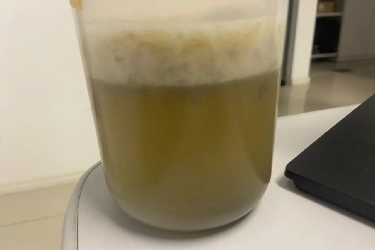 Instituto do Meio Ambiente do Estado de Santa Catarina/Divulgação