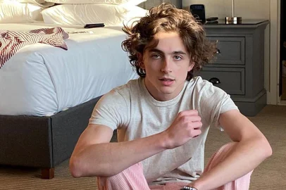 Ator Timothée Chalamet<!-- NICAID(14791273) -->