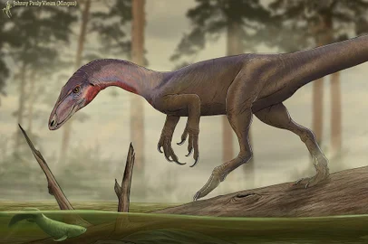 Um estudo publicado no periódico científico The Anatomical Record em 16 de novembro apresentou o segundo registro de um dinossauro para o município de Restinga Sêca. O estudo foi conduzido pelos pesquisadores Maurício S. Garcia, Flávio A. Pretto, Sérgio F. Cabreira, Lúcio R. da Silva e Rodrigo T. Müller, do Centro de Apoio à Pesquisa Paleontológica da Quarta Colônia (Cappa) da UFSM. Reconstrução em vida do dinossauro em um ambiente triássico (Arte: Johhny Pauly)<!-- NICAID(15608741) -->