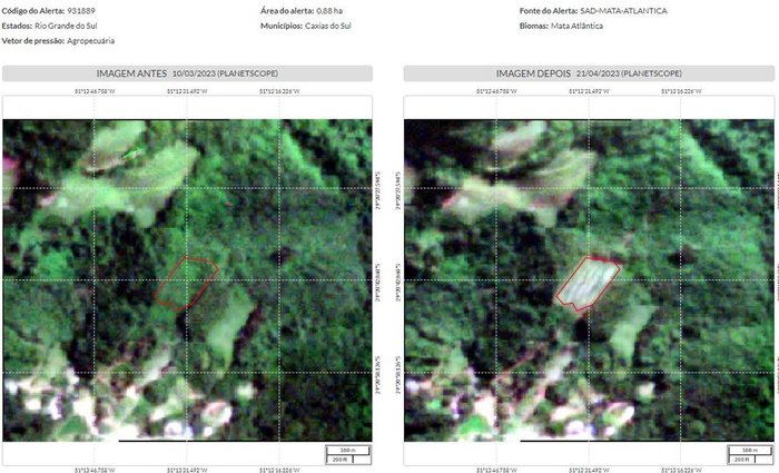 MapBiomas / Reprodução MapBiomas / Reprodução