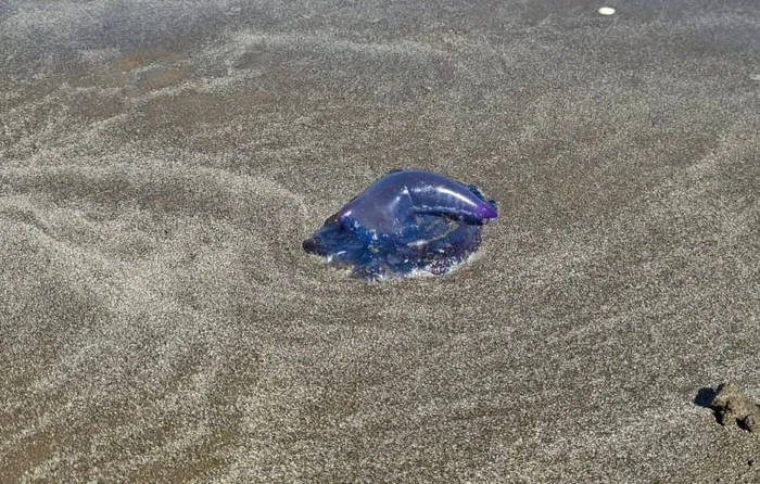 Divulgação/Corpo de Bombeiros