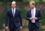 William teria dito que é "quase impossível" confiar em Harry novamente, afirma jornal