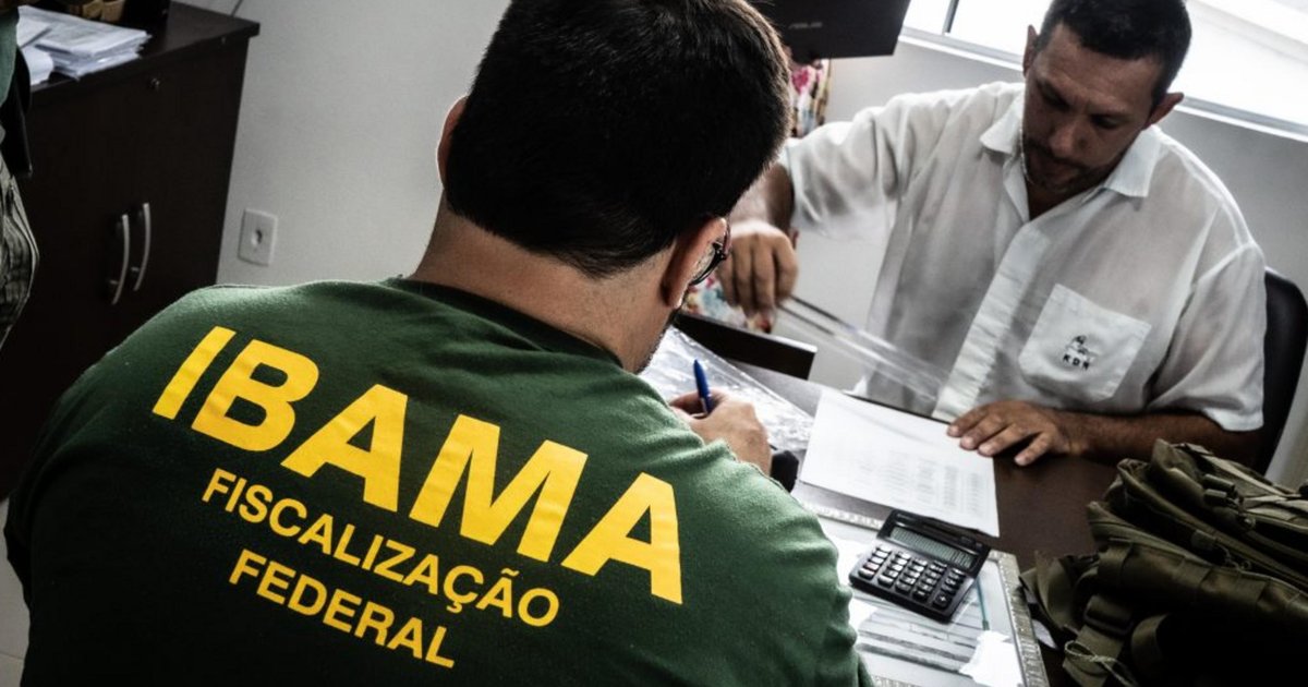 Concurso Ibama: edital prevê 460 vagas e salário de R$ 9,9 mil | GZH