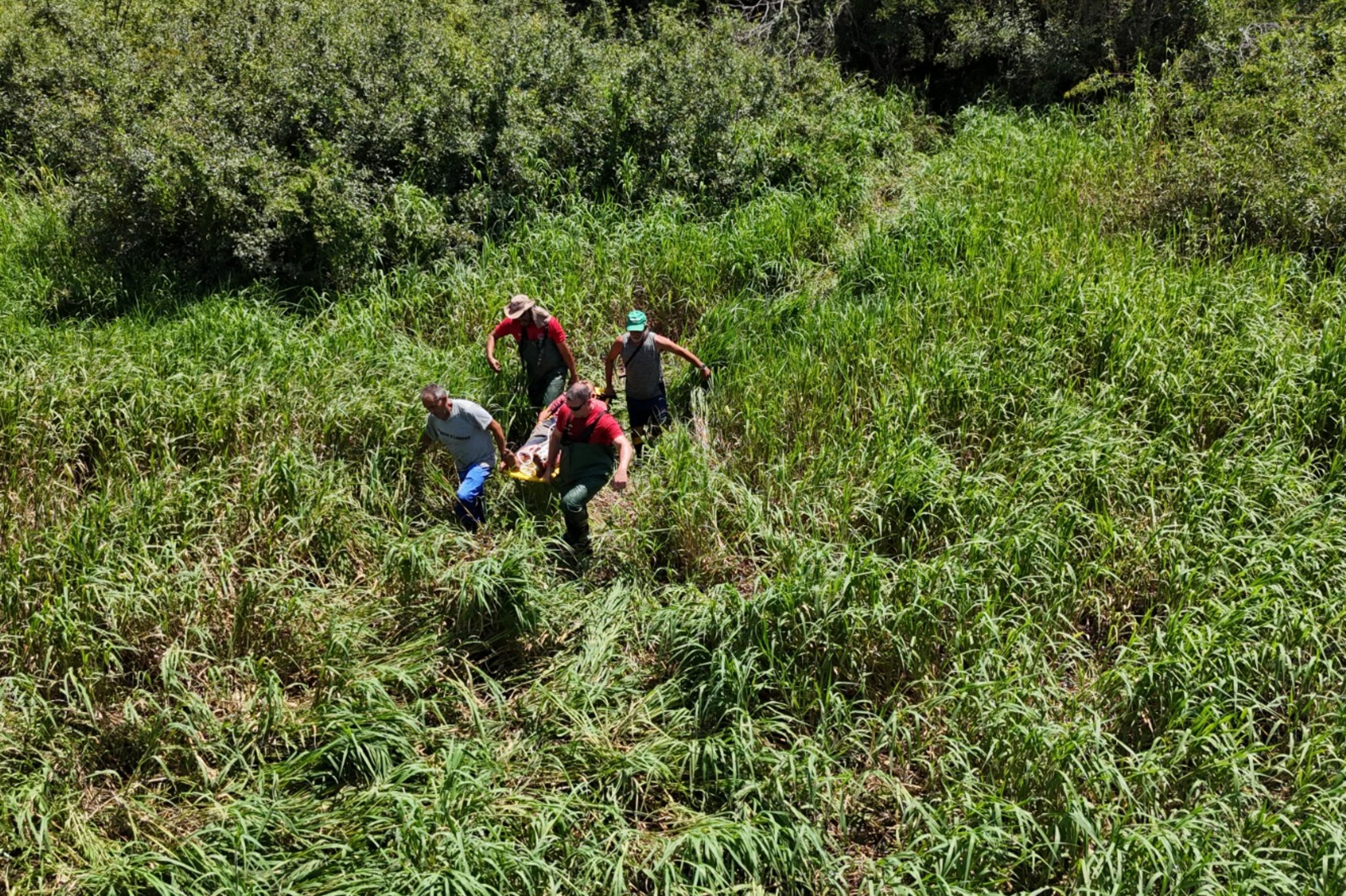 Casal passa 52 horas perdido na mata em Eldorado do Sul; v&iacute;deo mostra resgate por bombeiros volunt&aacute;rios