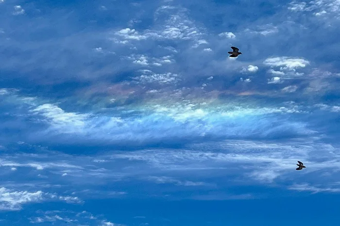 Kerollen Carvalho / Arquivo pessoal Kerollen Carvalho / Arquivo pessoal