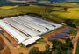 Três em cada quatro produtores desta marca de frango já adotaram energia limpa no Brasil 