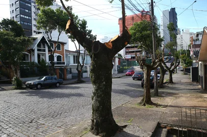 CAXIAS DO SUL, RS, BRASIL, 13/11/2025. Árvores podadas na rua Santo Ceroni, no bairro Panazzolo, próximo ao bar e armazém Kerwald. (Porthus Junior/Agência RBS)<!-- NICAID(16166970) -->