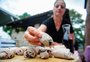 VÍDEO: saiba como é feito o pão de vinho, atração da Abertura da Vindima, em Monte Belo do Sul