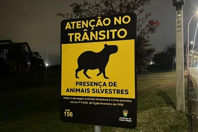 Capivaras, cágados e aves: placas alertam sobre a presença de animais silvestres na Orla<!-- NICAID(16081691) -->