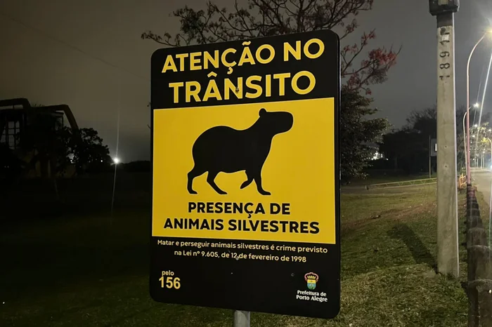 Vitor Netto / Agência RBS