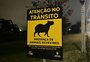 Capivaras, aves e cágados: placas alertam sobre a presença de animais silvestres na orla do Guaíba
