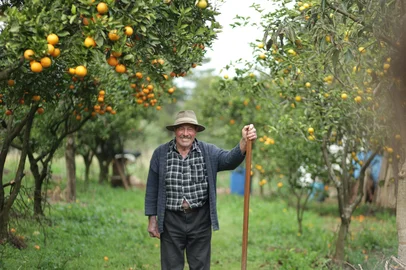 A Expedição Longevidade foi criada para investigar os fatores que favorecem uma vida longa e saudável em diferentes partes do mundo. O projeto deu origem ao documentário “Conversas nas Zonas Azuis”, resultado de uma jornada de dois meses realizada em 2023 pela jornalista Lilian Liang, especialista gerontologia, e pelo cineasta Gabriel Martinez.Foto de seu David Mazzarollo<!-- NICAID(16150066) -->