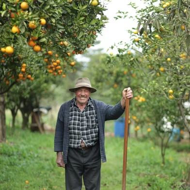 A Expedição Longevidade foi criada para investigar os fatores que favorecem uma vida longa e saudável em diferentes partes do mundo. O projeto deu origem ao documentário “Conversas nas Zonas Azuis”, resultado de uma jornada de dois meses realizada em 2023 pela jornalista Lilian Liang, especialista gerontologia, e pelo cineasta Gabriel Martinez.Foto de seu David Mazzarollo<!-- NICAID(16150066) -->