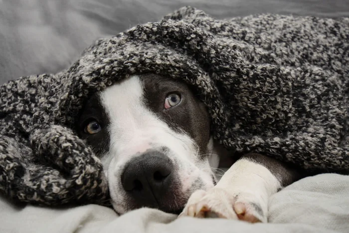 smrm1977 / Shutterstock | Portal EdiCase