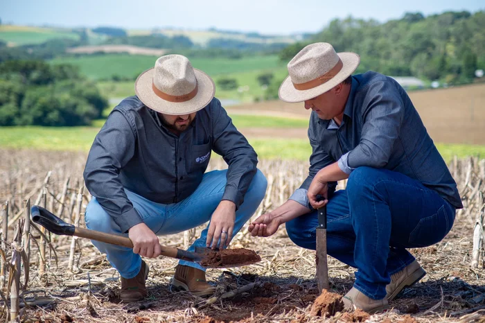 Coasa / Divulgação