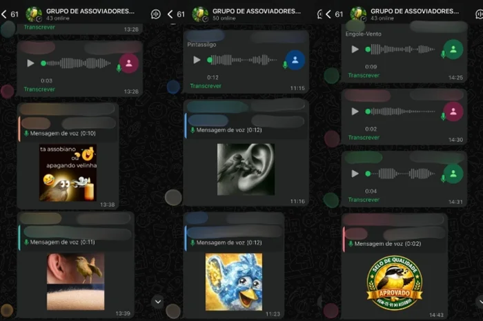 Whatsapp / Reprodução