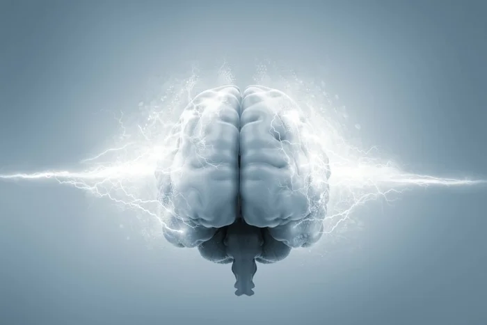 adike / Shutterstock | Portal EdiCase adike / Shutterstock | Portal EdiCase