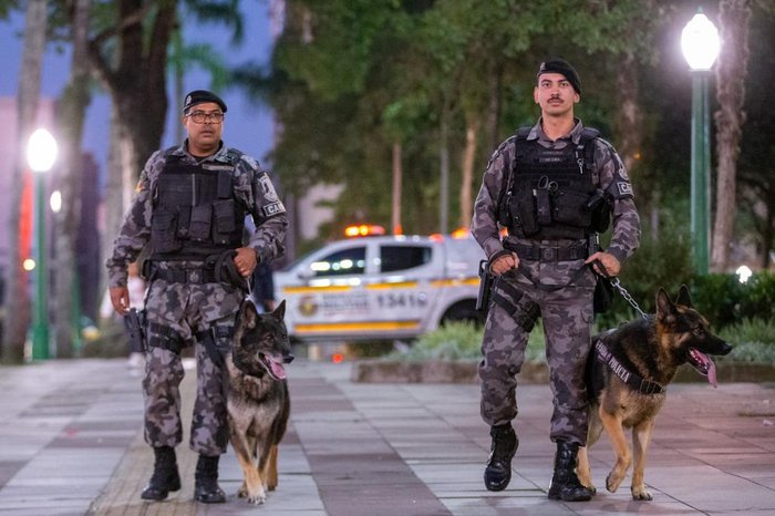 Os cães também vão atuar em atividades de proteção e integração com a comunidade escolar