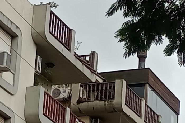 Paralelo 29 / Divulgação