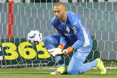 O goleiro Weverton, da SE Palmeiras, em jogo contra a equipe do EC Bahia, durante partida vÃ¡lida pela sexta rodada, do Campeonato Brasileiro, SÃ©rie A, na arena Allianz Parque. (Foto: Cesar Greco/Palmeiras/by Canon)<!-- NICAID(16203357) -->