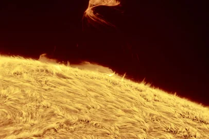 : Por que há um triângulo pairando sobre o Sol? Embora o formato seja incomum, o tipo de estrutura não é: ele faz parte de uma proeminência solar em evolução . Campos magnéticos em loop no Sol canalizam o fluxo de partículas energéticas, às vezes mantendo estruturas gasosas brilhantes no ar por meses. Uma proeminência brilha intensamente porque contém plasma solar particularmente quente, denso ou opaco . A surpreendente estrutura triangular ocorreu na semana passada. Maior do que a nossa Terra, a proeminência icônica foi fotografada por vários fotógrafos solares e documentada pelo Observatório Solar Dinâmico da NASA para se formar e se dissipar violentamente em cerca de um dia. A imagem em destaque foi capturada em uma cor de luz vermelha emitida fortemente por hidrogênio . Abaixo, fibrilas solares cobrem a cromosfera do Sol , enquanto o céu de fundo é tão tênue em comparação que nenhuma estrela é visível. A superfície do nosso Sol tem sido bastante ativa este ano.<!-- NICAID(15856264) -->
