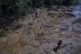 BRUMADINHO, MG, BRASIL - 2019.01.28 - Estrago da lama em Parque das Cachoeiras, em Brumadinho. (Foto: ANDRÉ ÁVILA / Agencia RBS).--------A barragem 1 do complexo Mina do Feijão, da mineradora Vale, na região do Córrego do Feijão,  rompeu sexta-feira, 25/01/2019, em Brumadinho, Região Metropolitana de Belo Horizonte. As fotos mostram os estragos causados pela invasão  dos rejeitos de minério, lama, na região.----<!-- NICAID(13933977) -->