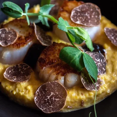 trufas, restaurante, jantar, porto alegre, destemperados<!-- NICAID(15712261) -->