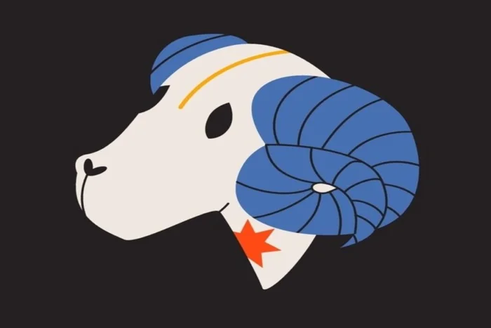 Daryaart9 / Shutterstock | Portal EdiCase Daryaart9 / Shutterstock | Portal EdiCase