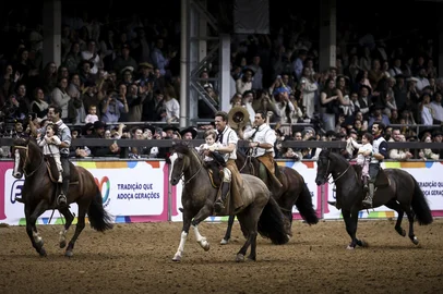 Bruno Todeschini / Grupo RBS ESTEIO, RS, BRASIL, 05-09-2026: Prova da Final do Freio de Ouro 2026, na Arena do Cavalo Crioulo na Expointer, no Parque Estadual de Exposições Assis Brasil. A competição premia os melhores ginetes e seleciona a elite da raça Crioula entre 32 animais classificados para a fase decisiva do concurso, 16 machos e 16 fêmeas. Disputa da prova de Campo II na categoria machos. Foto: Bruno Todeschini/Grupo RBS<!-- NICAID(16360276) -->