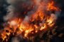 Wildfire, unplanned, uncontrolled and unpredictable fire in an area of combustible vegetation, aerial drone view.Incêndio em floresta - Foto: MNStudio/stock.adobe.comFonte: 640685509<!-- NICAID(15596154) -->