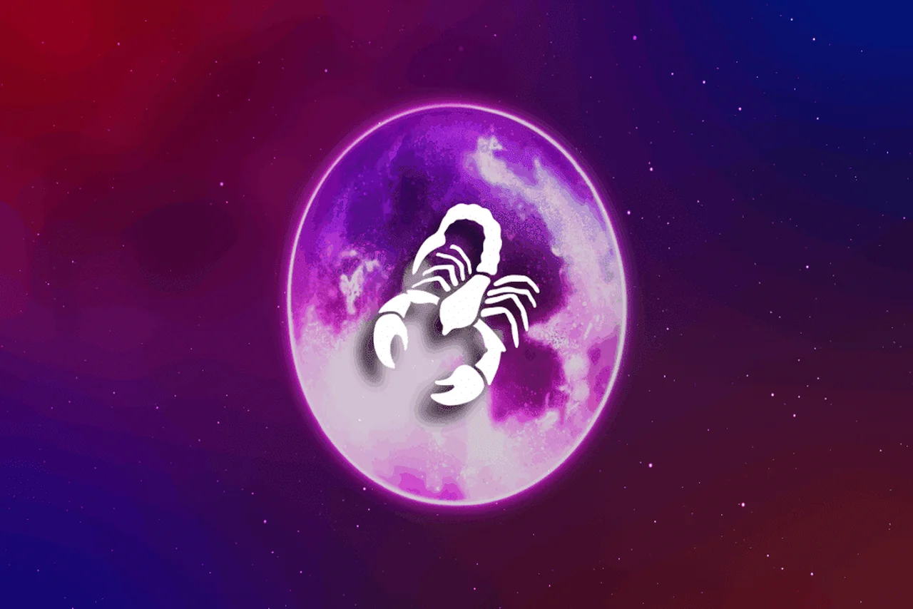 Silver Place/Shutterstock | Portal EdiCase