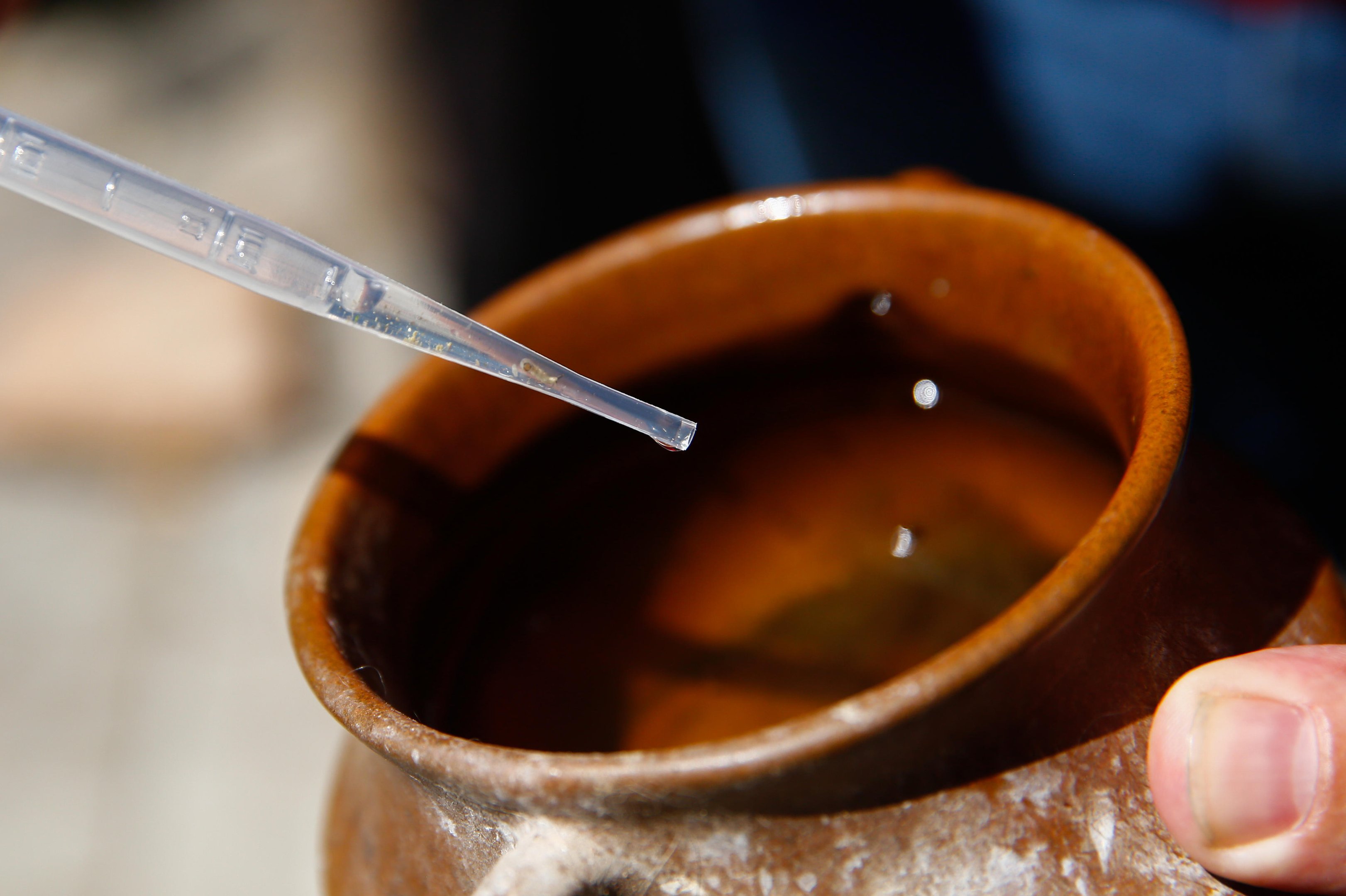 Focos de Aedes aegypti crescem 30% em menos de uma semana em Rio Grande