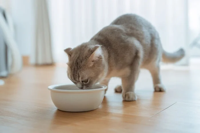 oatawa / Shutterstock | Portal EdiCase oatawa / Shutterstock | Portal EdiCase