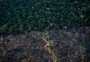 Banco Mundial alerta para dano permanente causado pelo desmatamento na Amazônia