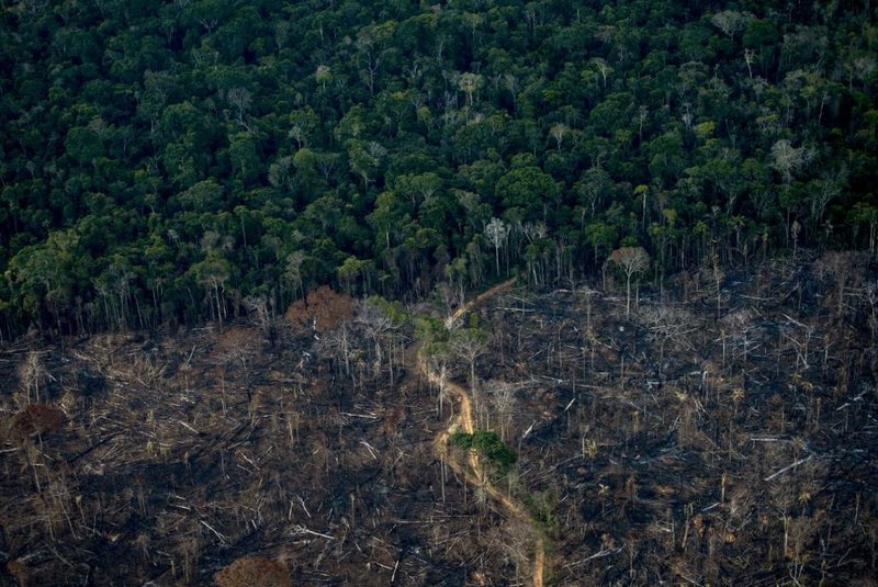 A Amazônia registrou, de acordo com dados do Imazon, a pior taxa de desmatamento em 10 anos, para o período de janeiro a novembro.<!-- NICAID(14973498) -->