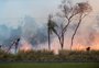Queimadas em São Paulo: o que se sabe até agora sobre os incêndios