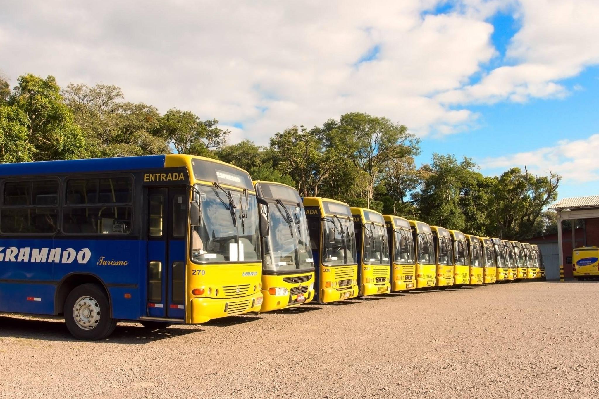 Linhas do gramado: Entenda cada uma