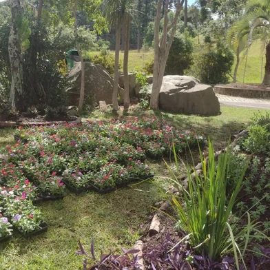 Parque de Eventos, em Caxias, recebe manutenção para a Festa das Colheitas. Em relação ao embelezamento do parque, houve a limpeza total do espaço, com corte de vegetação, retirada de galhos de árvores e aquisição e plantio de flores. <!-- NICAID(15351712) -->